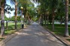 miniatura Passeig al jardí Central de la Universitat Politècnica de València.